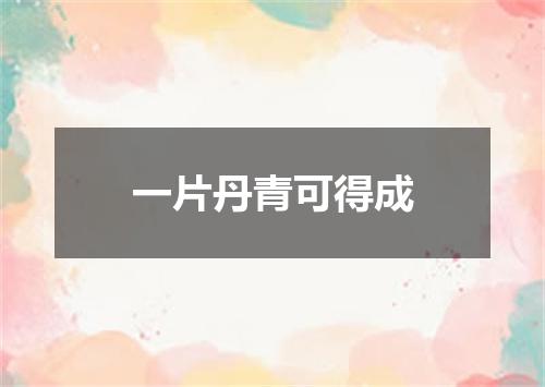 一片丹青可得成