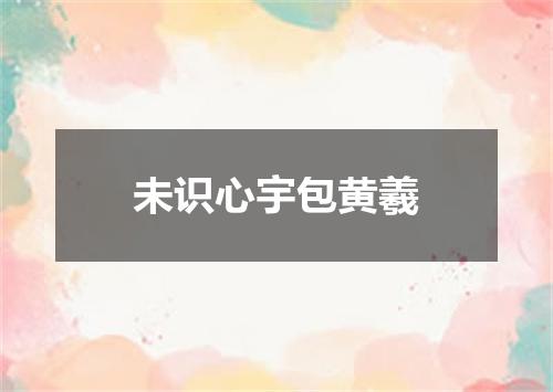 未识心宇包黄羲