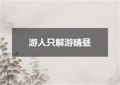 游人只解游晴昼
