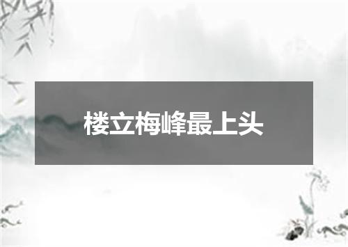 楼立梅峰最上头