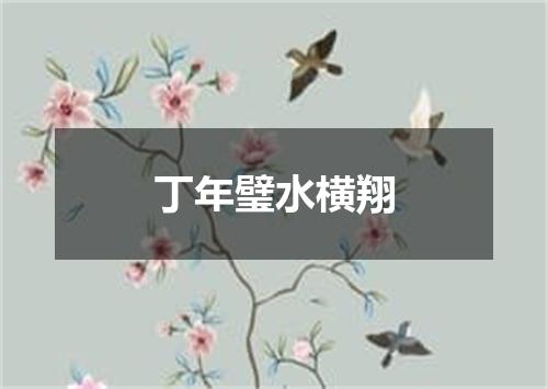 丁年璧水横翔