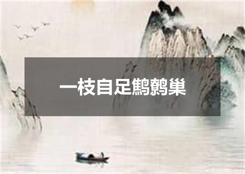 一枝自足鹪鹩巢