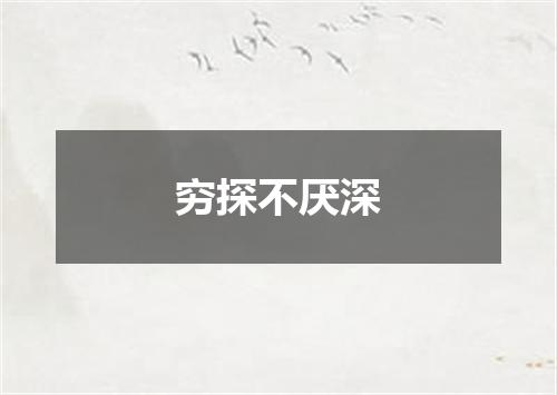 穷探不厌深