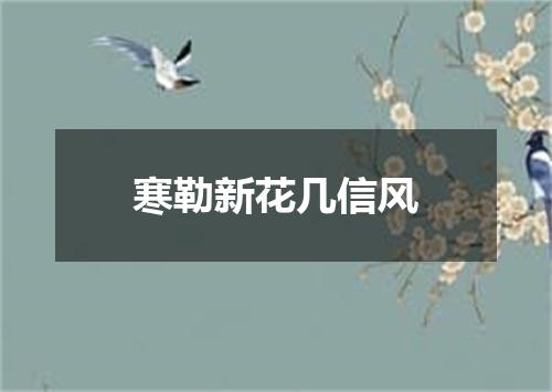 寒勒新花几信风