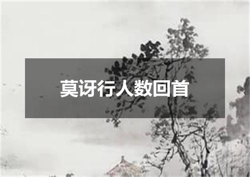 莫讶行人数回首