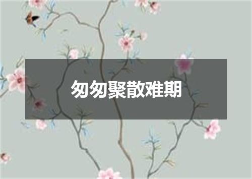匆匆聚散难期