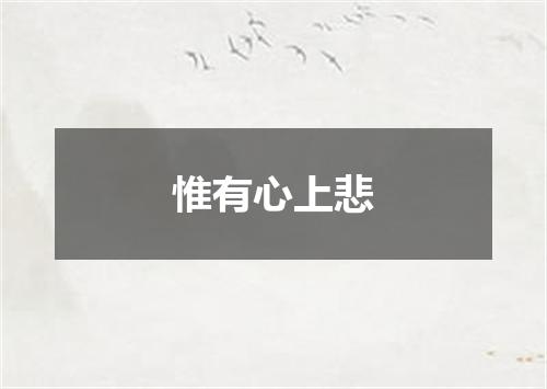 惟有心上悲