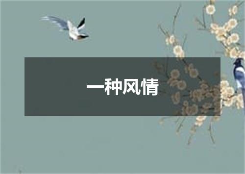 一种风情