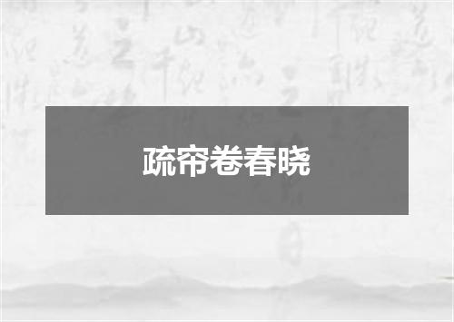 疏帘卷春晓
