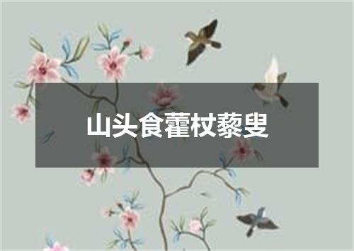 山头食藿杖藜叟