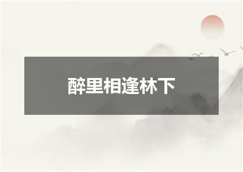醉里相逢林下