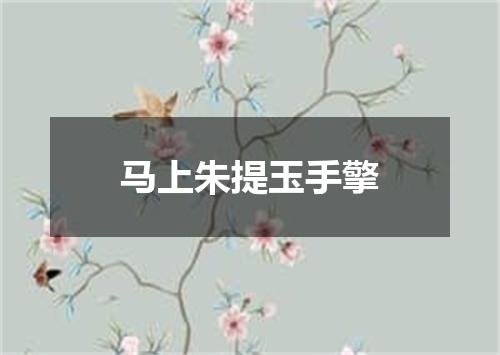 马上朱提玉手擎