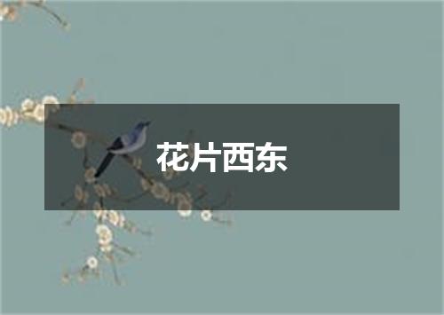 花片西东