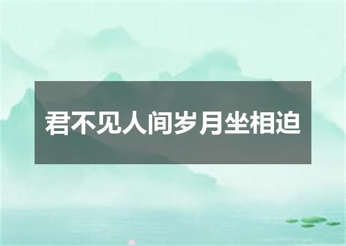 君不见人间岁月坐相迫