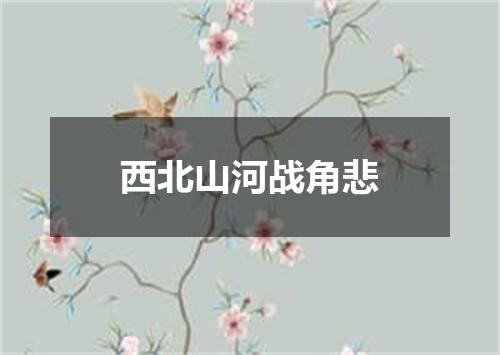 西北山河战角悲