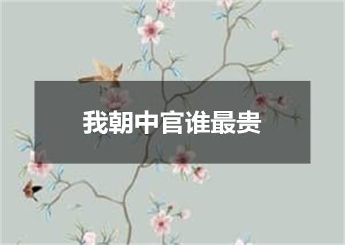 我朝中官谁最贵