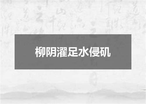 柳阴濯足水侵矶
