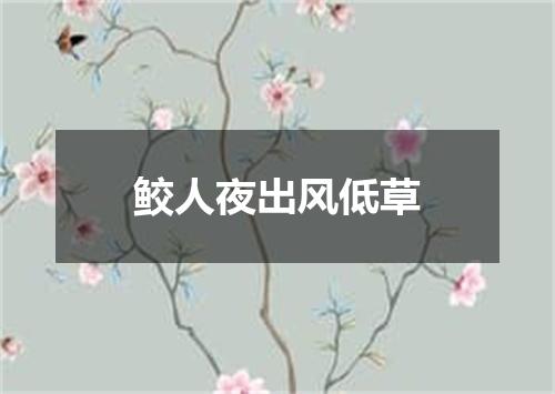 鲛人夜出风低草