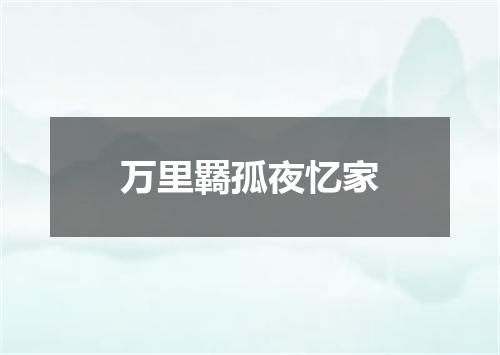 万里羇孤夜忆家