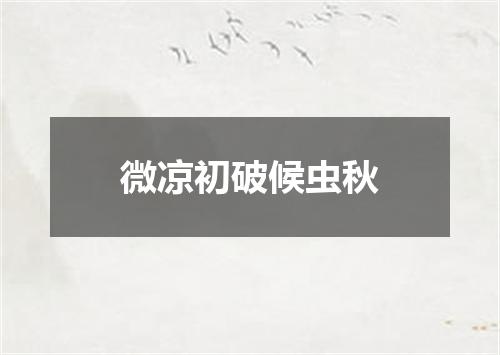 微凉初破候虫秋