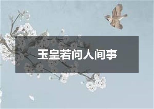 玉皇若问人间事