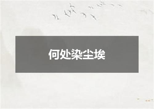 何处染尘埃