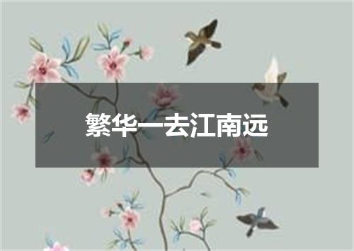 繁华一去江南远