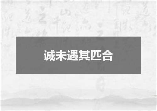 诚未遇其匹合