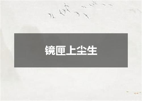 镜匣上尘生