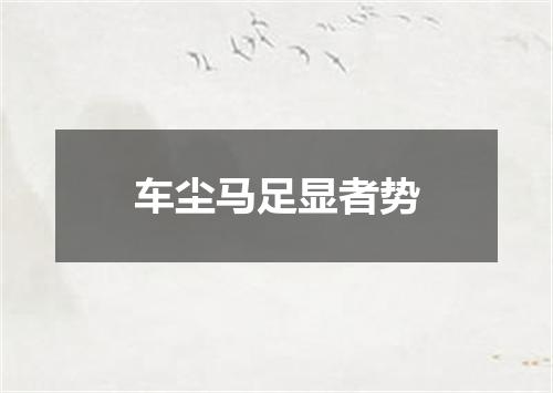 车尘马足显者势