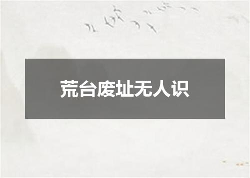 荒台废址无人识