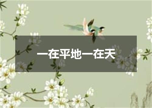 一在平地一在天