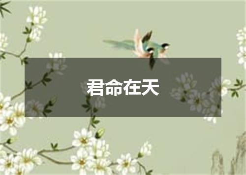君命在天