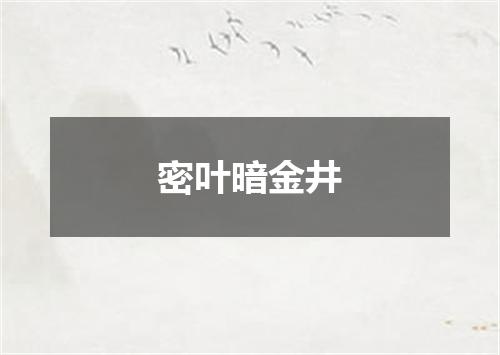 密叶暗金井