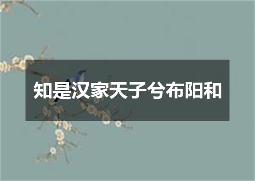 知是汉家天子兮布阳和