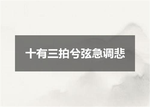 十有三拍兮弦急调悲