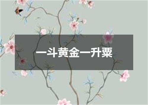 一斗黄金一升粟