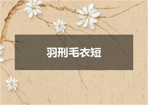 羽刑毛衣短