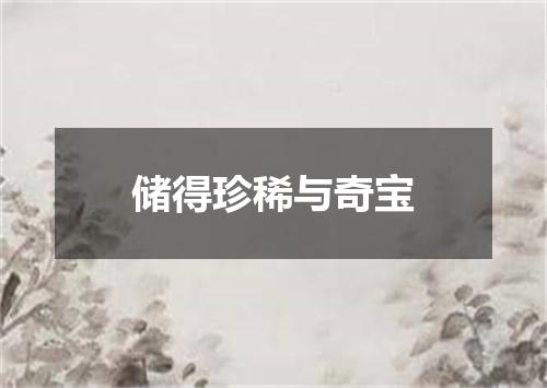 储得珍稀与奇宝