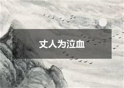 丈人为泣血