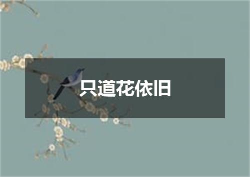 只道花依旧