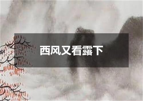 西风又看露下