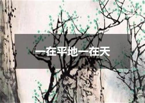 一在平地一在天
