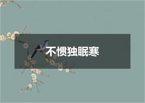 不惯独眠寒