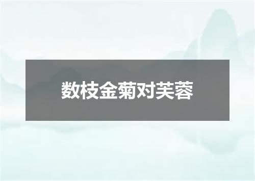 数枝金菊对芙蓉