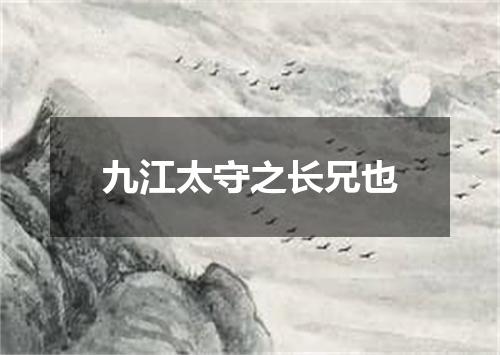 九江太守之长兄也