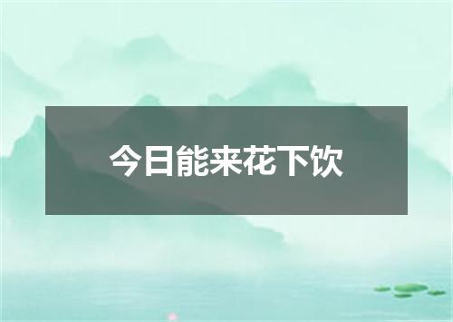 今日能来花下饮