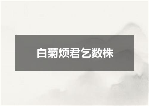 白菊烦君乞数株
