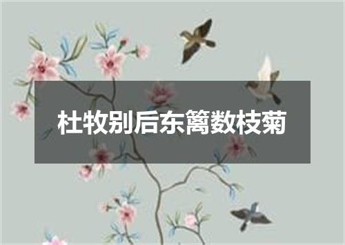 杜牧别后东篱数枝菊