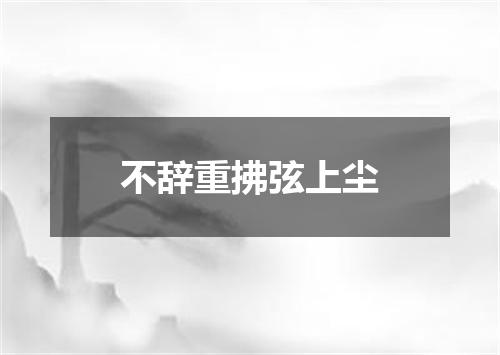不辞重拂弦上尘